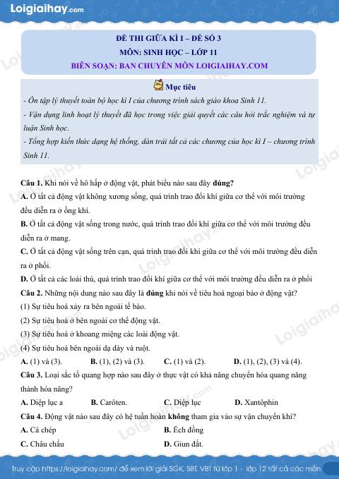 Đề kiểm tra giữa kì 1 Sinh 11 - Đề số 3 có lời giải chi tiết